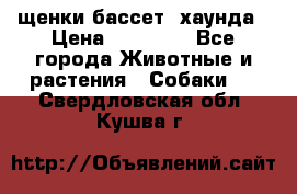 щенки бассет- хаунда › Цена ­ 20 000 - Все города Животные и растения » Собаки   . Свердловская обл.,Кушва г.